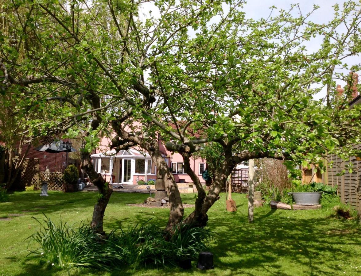 Bramley Cottage Burnham-on-Sea Esterno foto